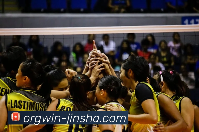 金沙娱乐城平台生态图